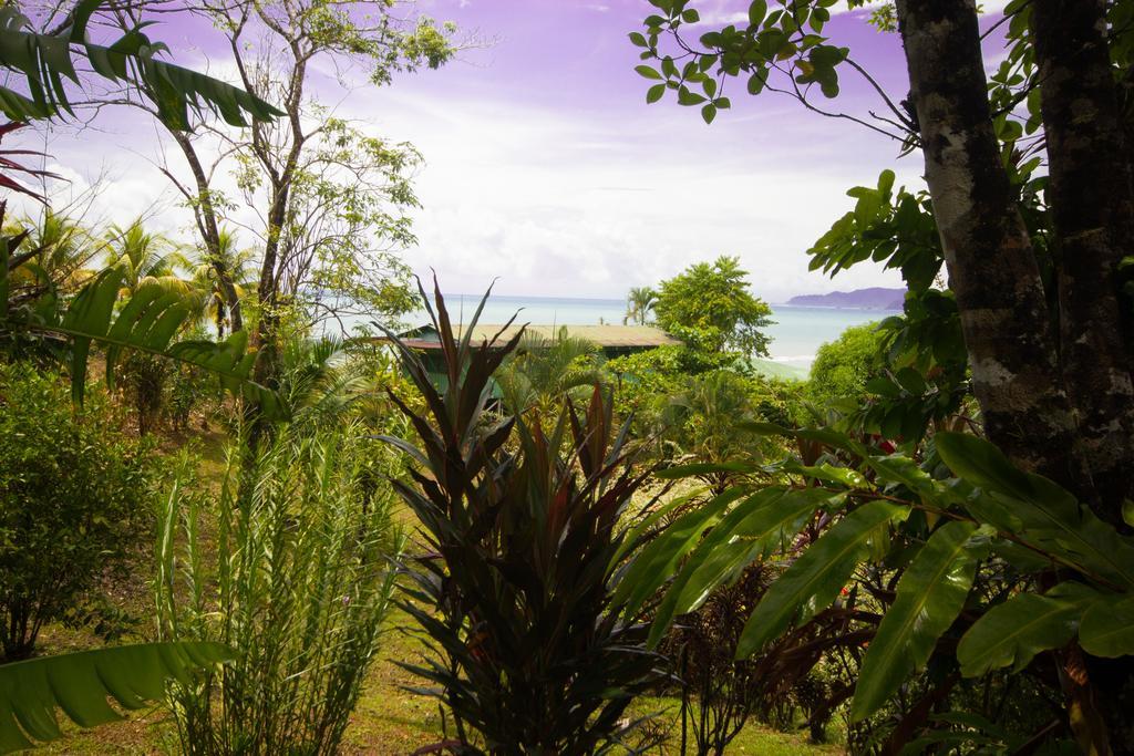 Hotel Rancho Corcovado Дрейк Екстер'єр фото