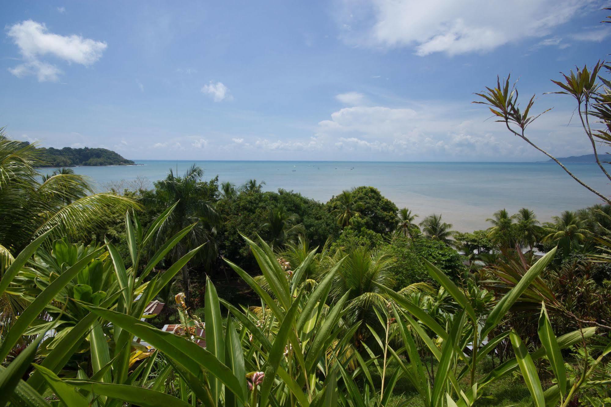 Hotel Rancho Corcovado Дрейк Екстер'єр фото